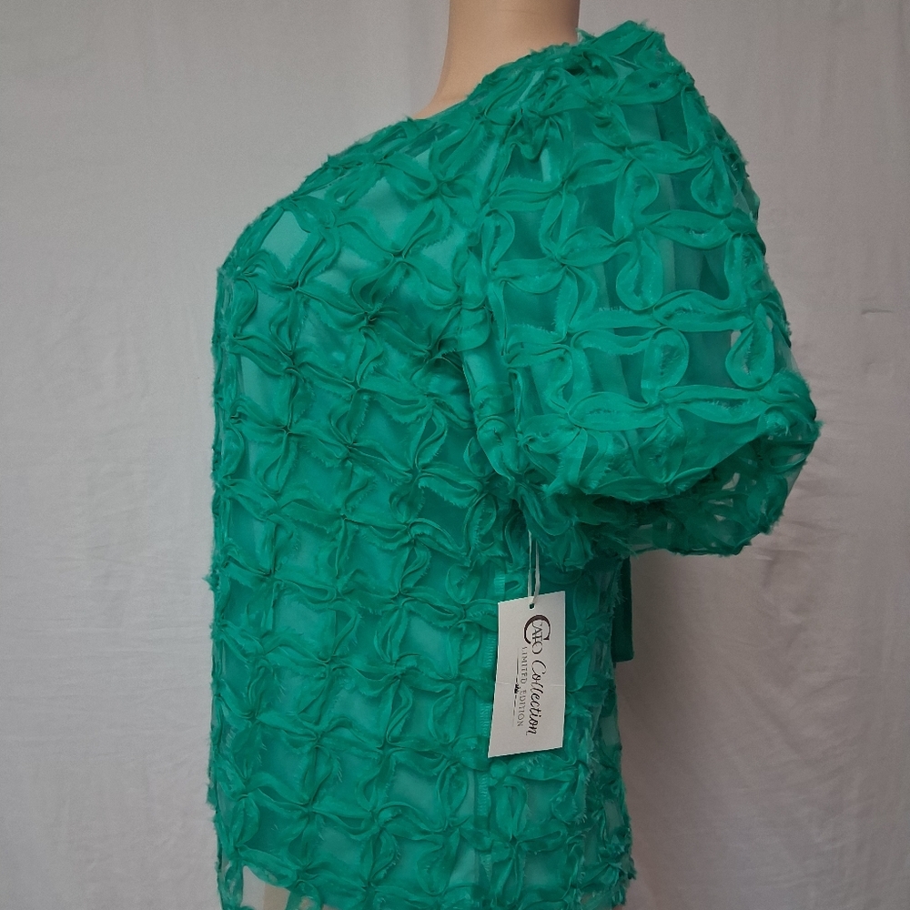 Cato Collection Limited Edition Chic Textured Green Blouse Size M - Picture 11 of 16